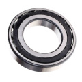 21315D1 Original Japanese Poly Cage Single Row Spherical Roller Bearing